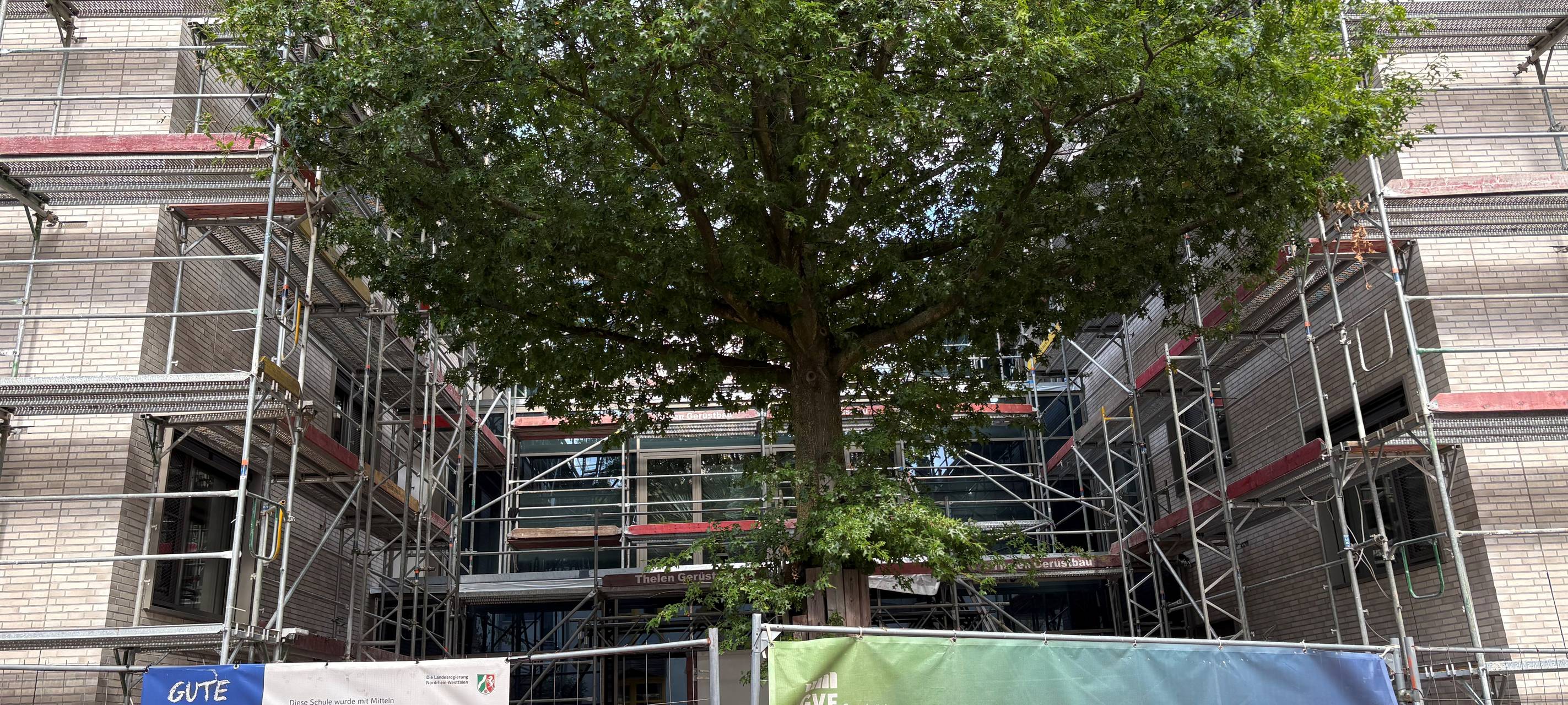 Neue Grundschule in Essen wird anders - so reagieren Eltern!