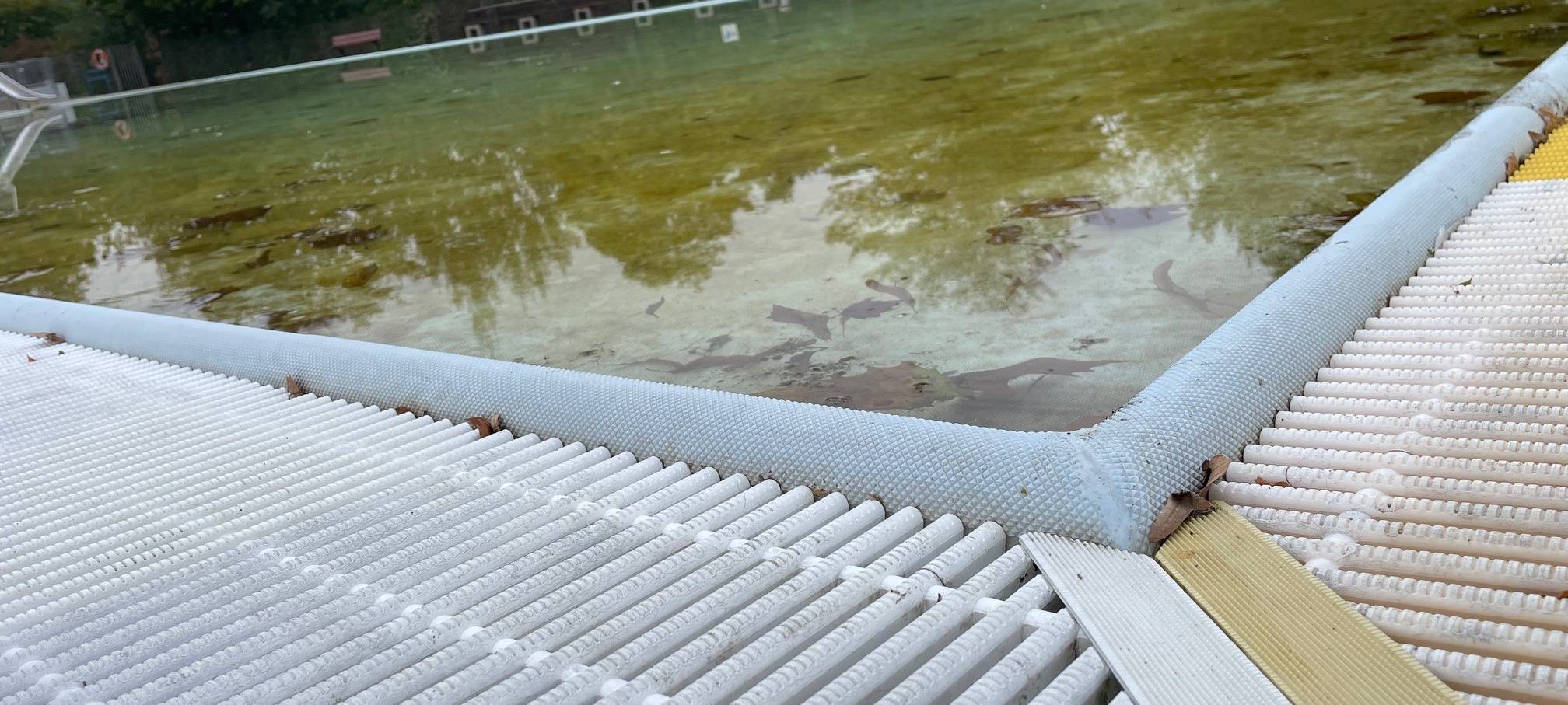 Zwei Bäder in Essen laden zum Hundeschwimmen