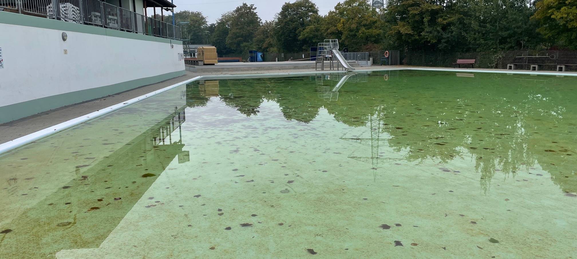 Zwei Bäder in Essen laden zum Hundeschwimmen