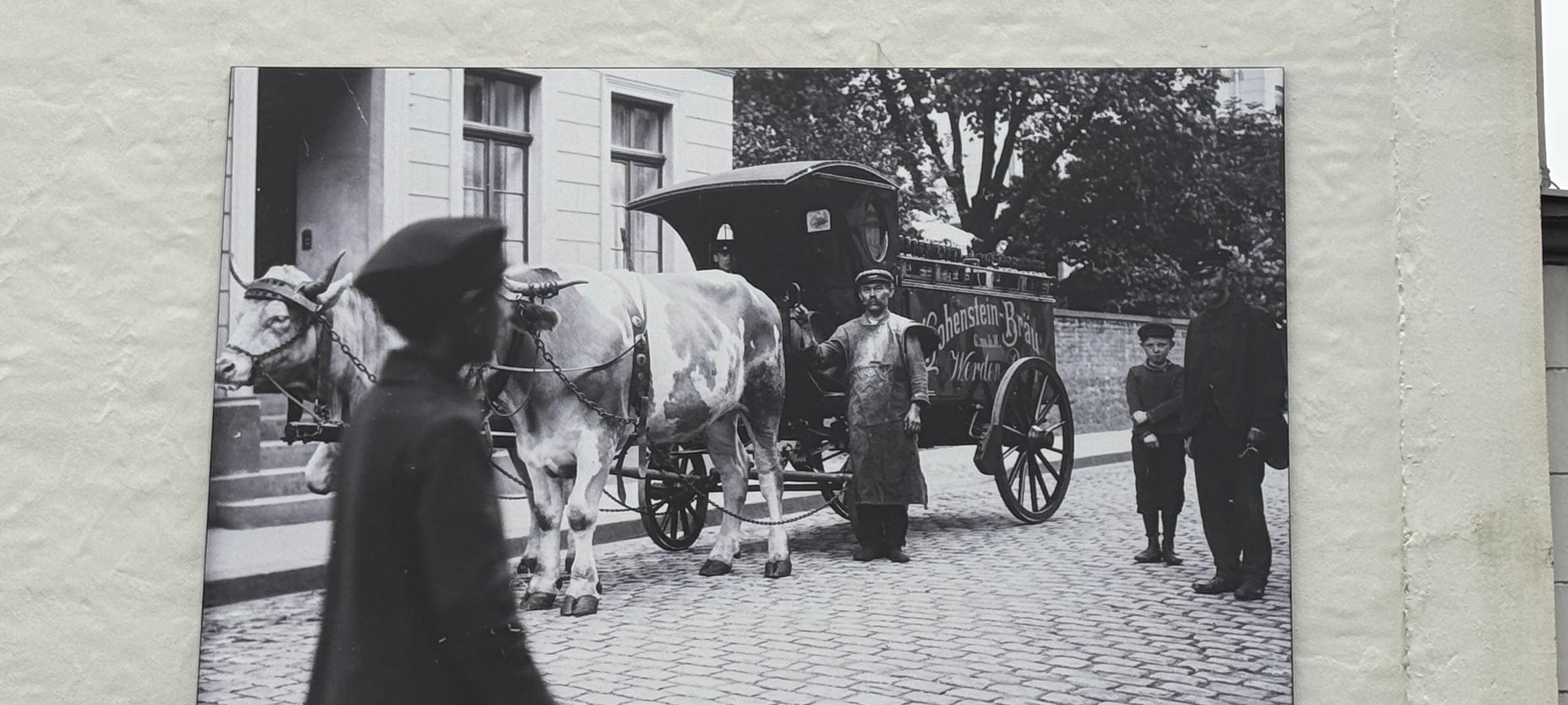 Zeitfenster Essen-Werden