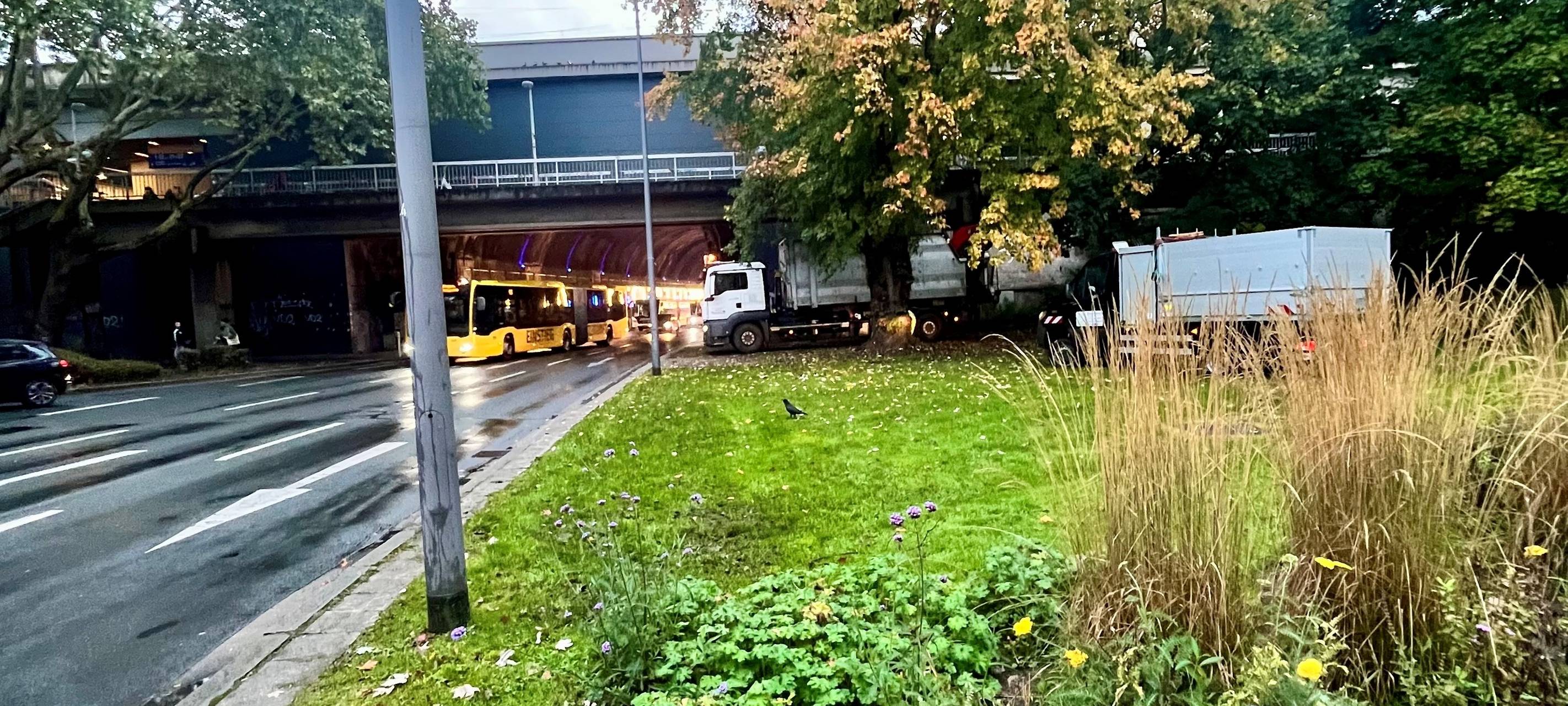 Mehr Platz in Essen für Tauben