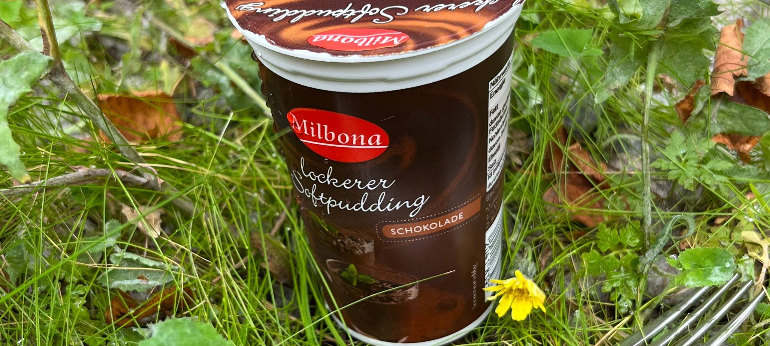 Trend auch in Essen: "Pudding-mit-Gabel-essen"-Treffen