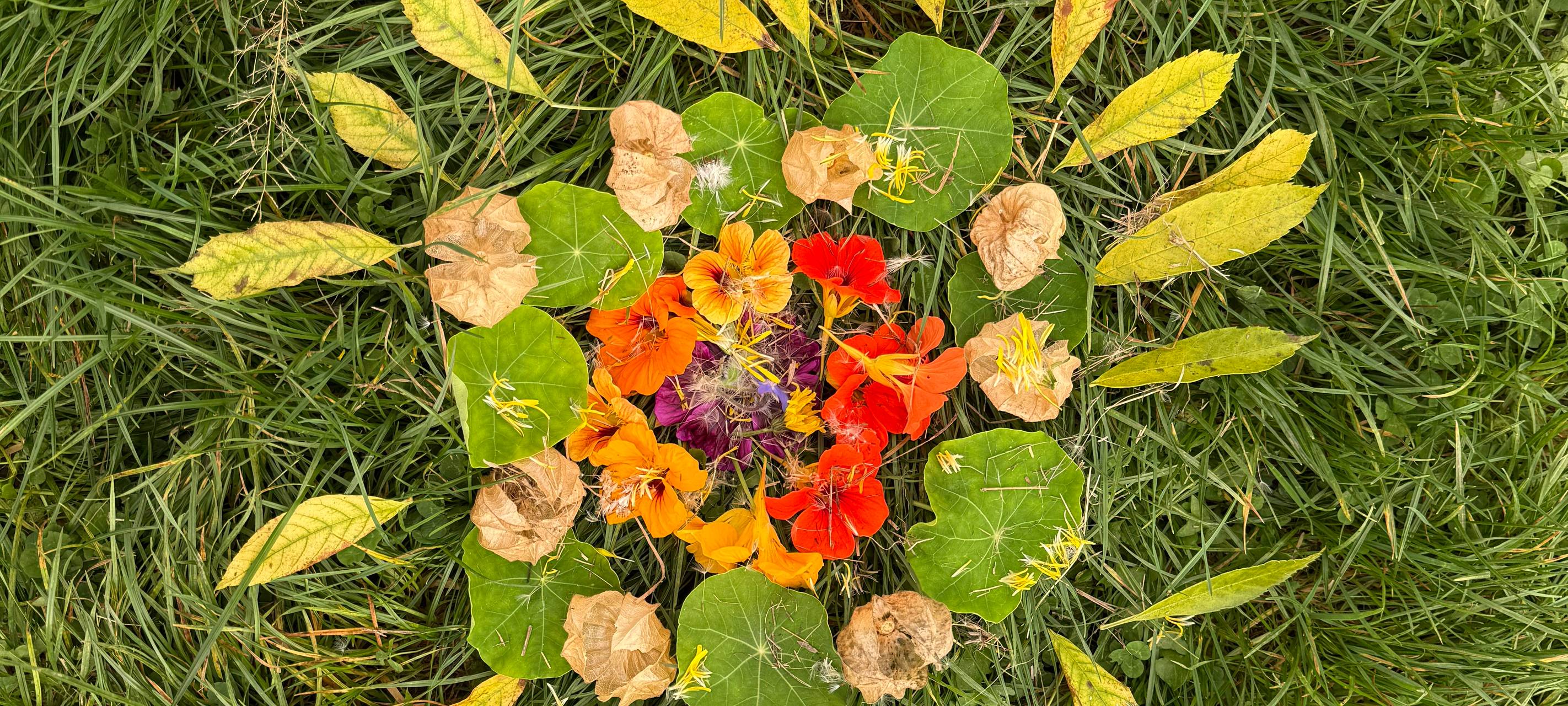 Herbstferien-Check in Essen: Das können Kinder machen