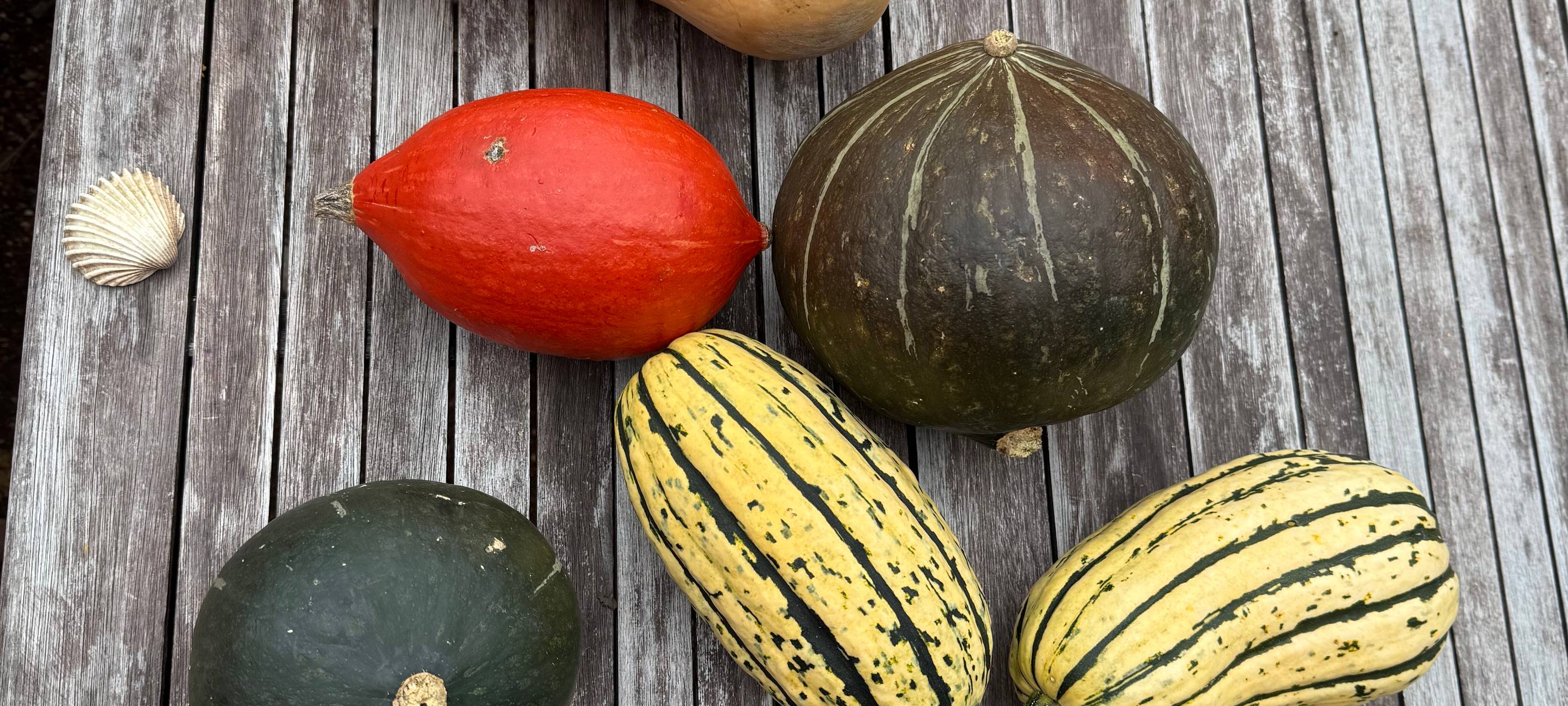 Herbstferien-Check in Essen: Das können Kinder machen