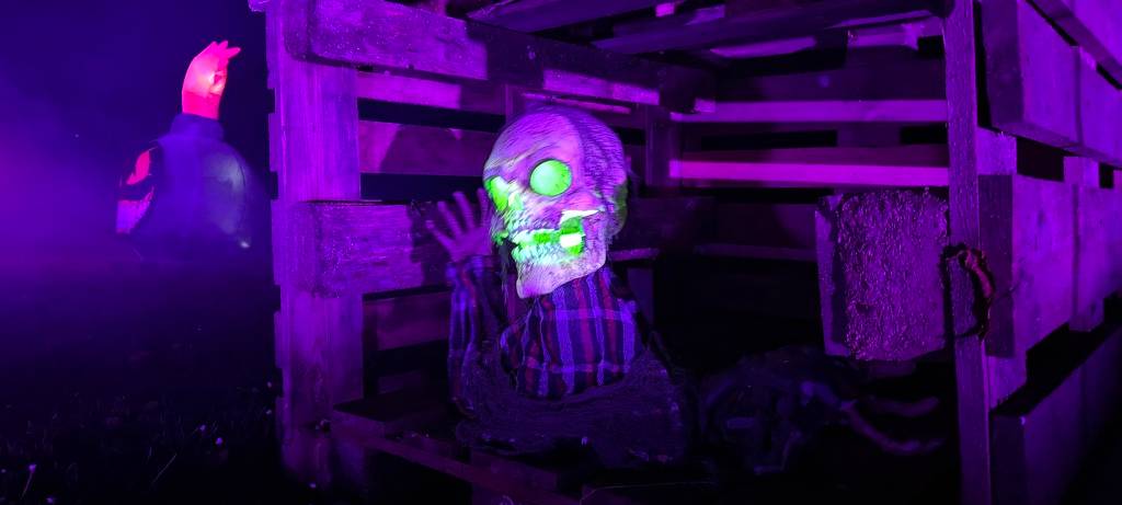 Weisse Flotte in Essen zu Halloween: Mole wird zur Geisterinsel