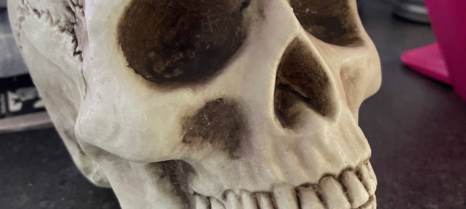 Weisse Flotte in Essen zu Halloween: Mole wird zur Geisterinsel