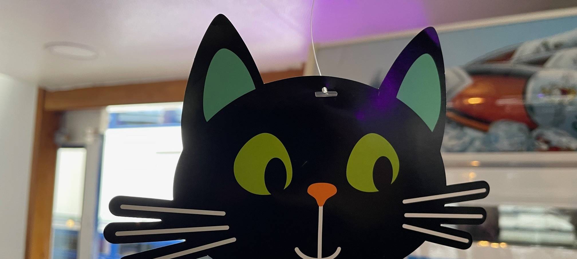 Weisse Flotte in Essen zu Halloween: Mole wird zur Geisterinsel