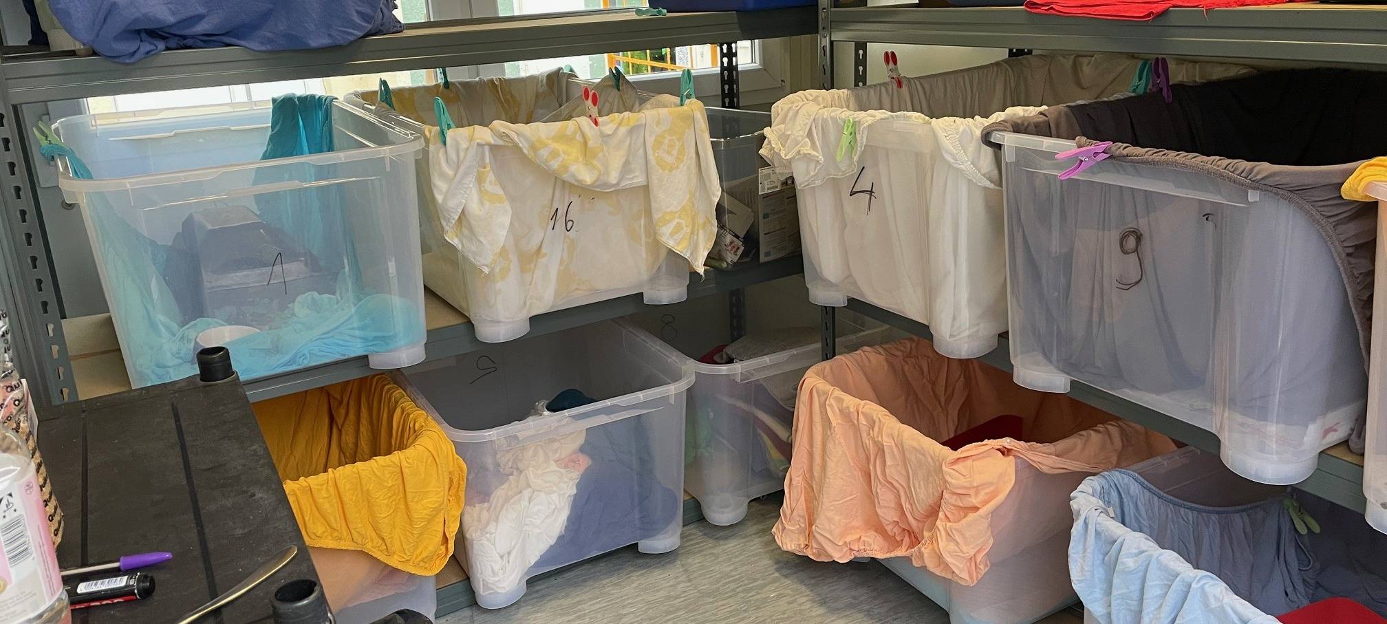 Kranke Igel in Essen bekommen Hilfe - Paten gesucht