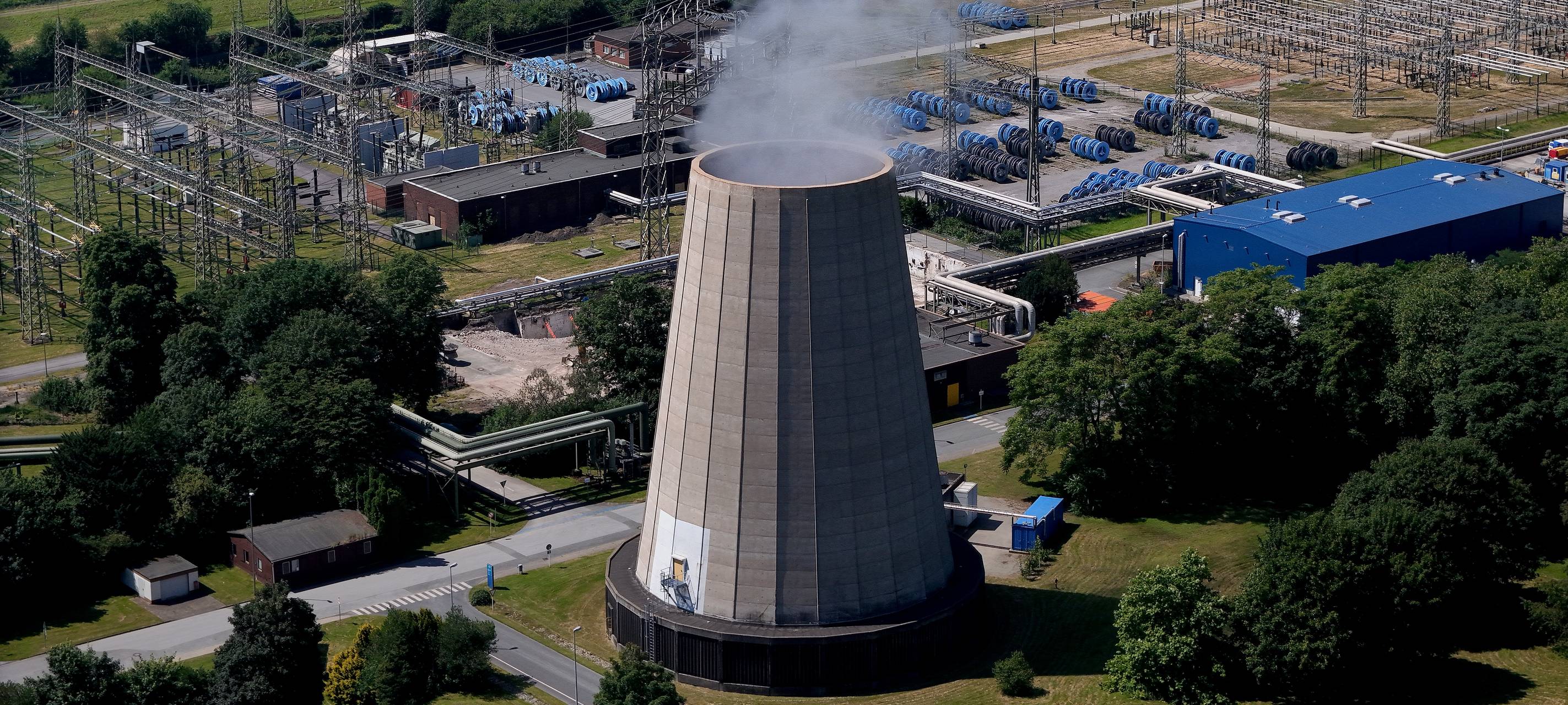 Herbst in Essen: So wird das Laub entsorgt