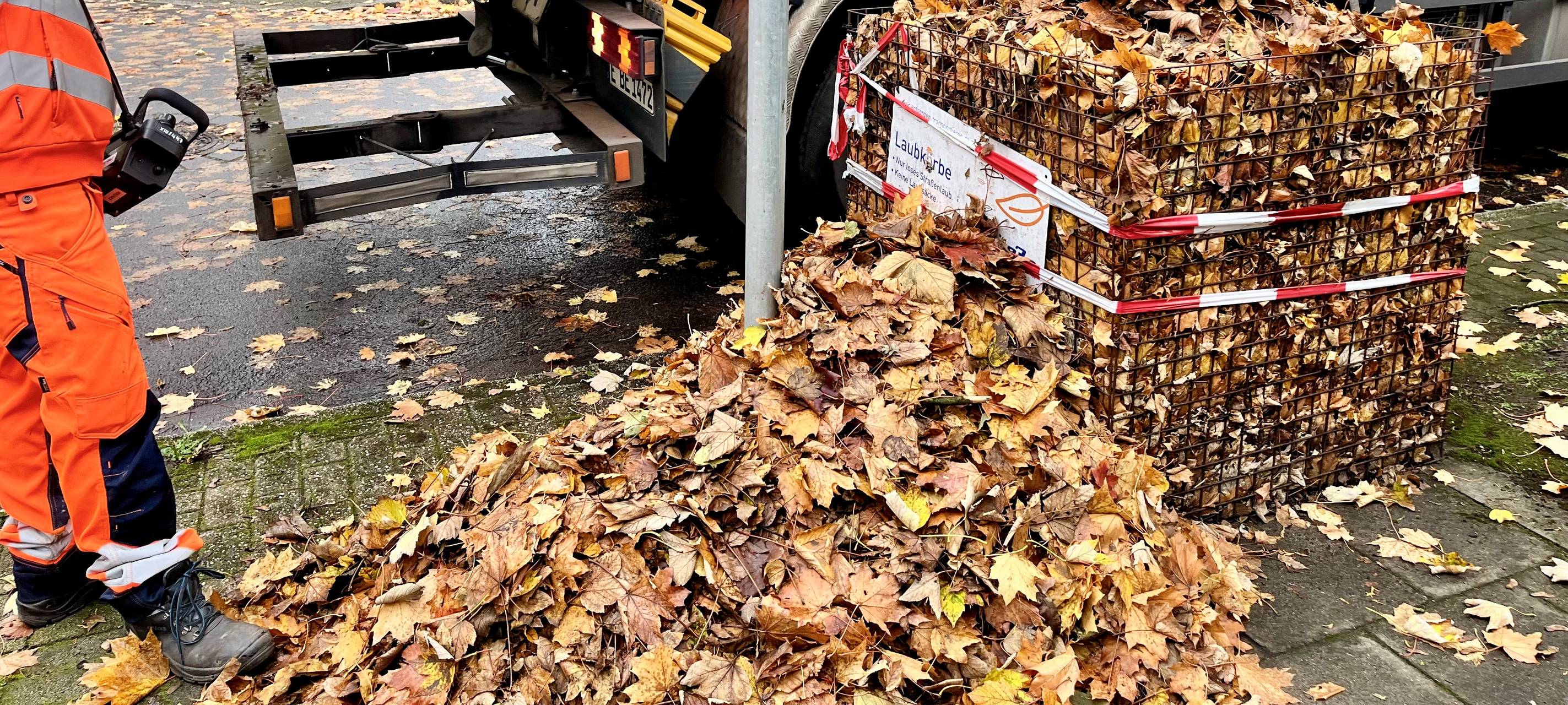 Herbst in Essen: So wird das Laub entsorgt
