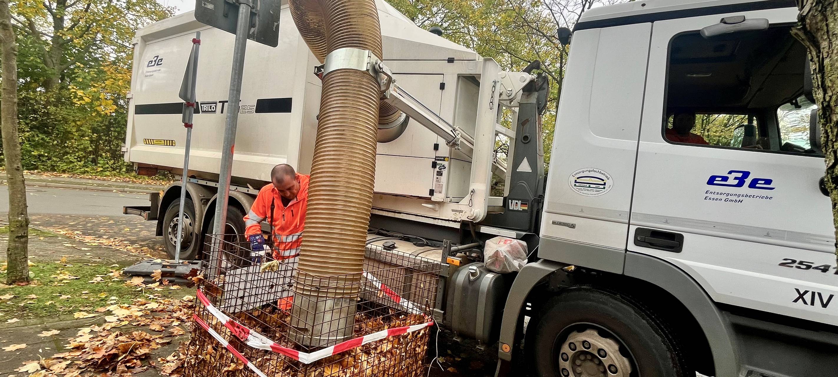Herbst in Essen: So wird das Laub entsorgt