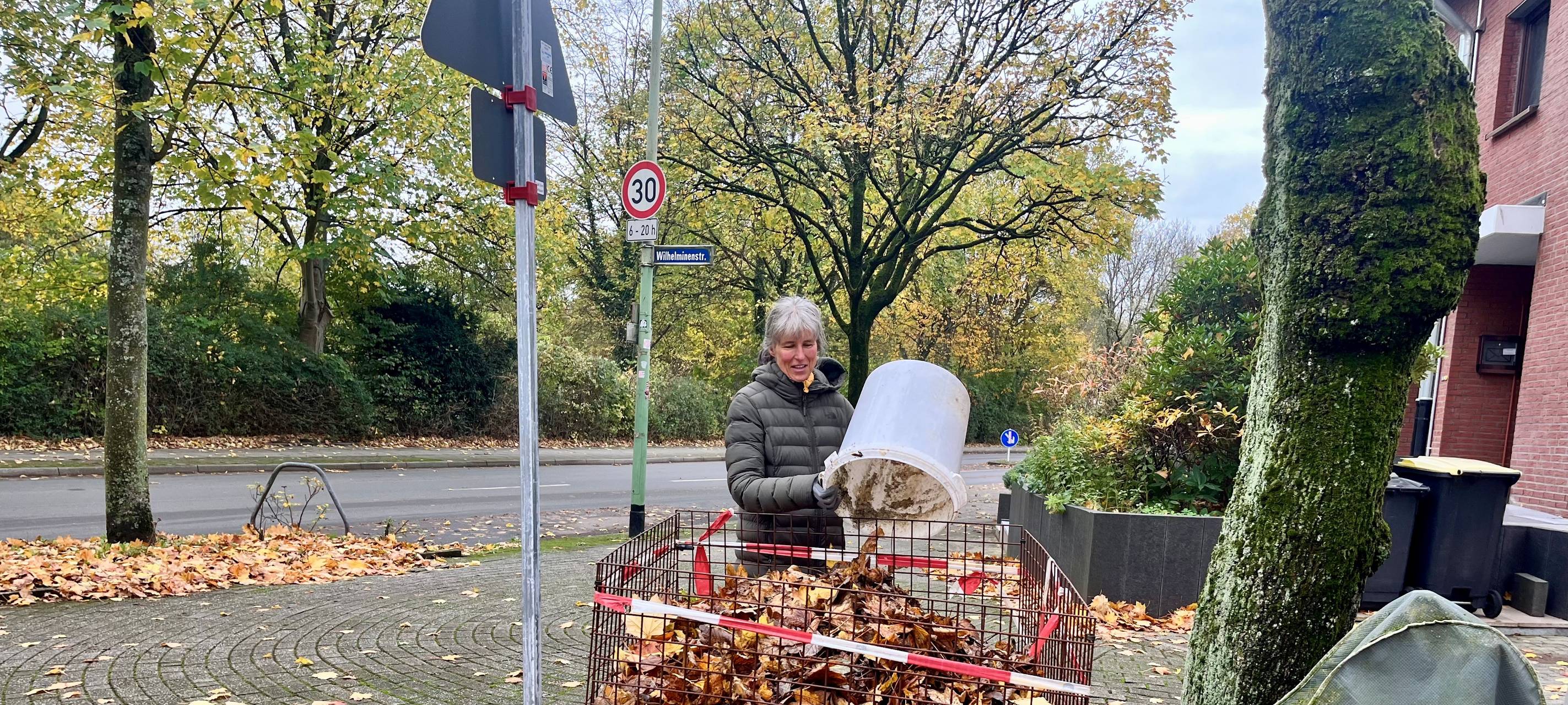 Herbst in Essen: So wird das Laub entsorgt