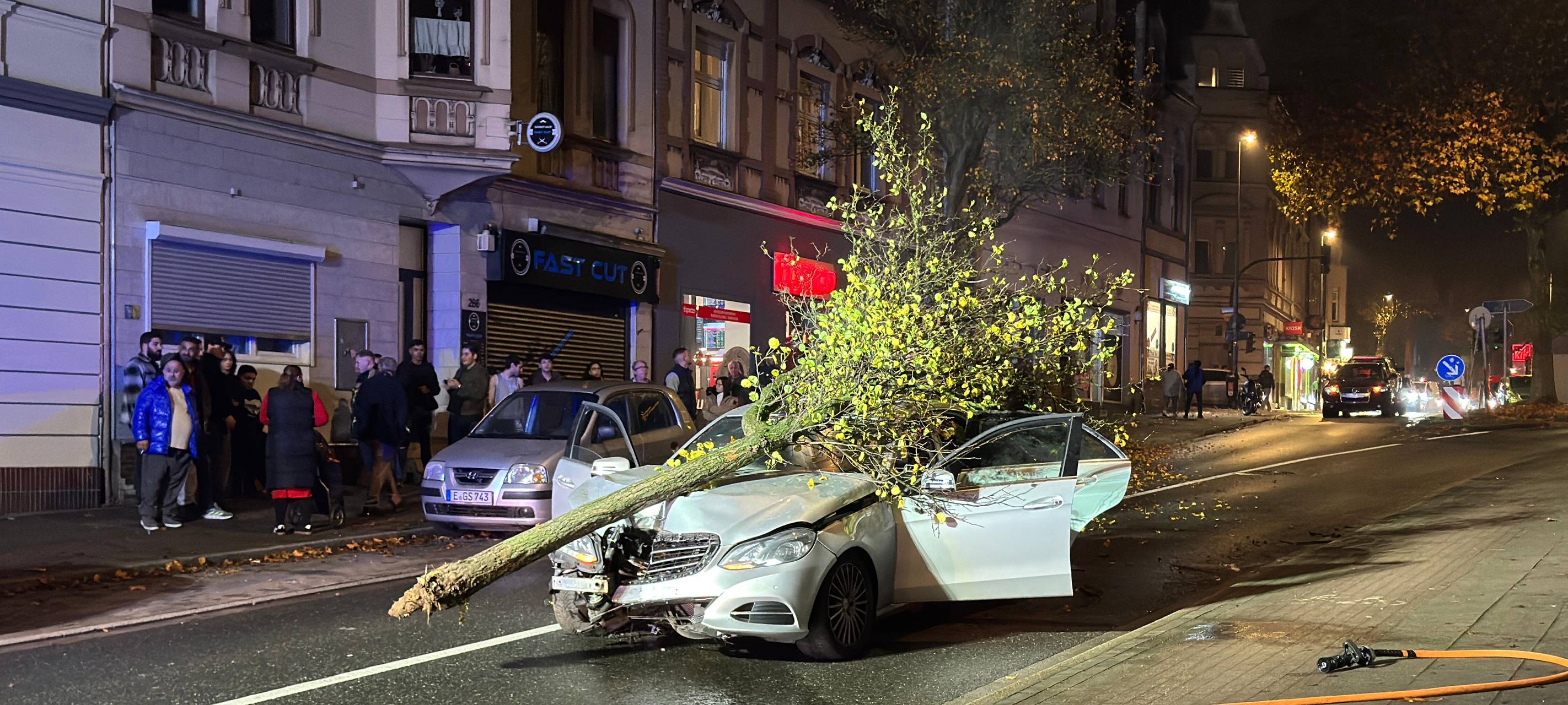 Baum landet auf Motorhaube in Essen