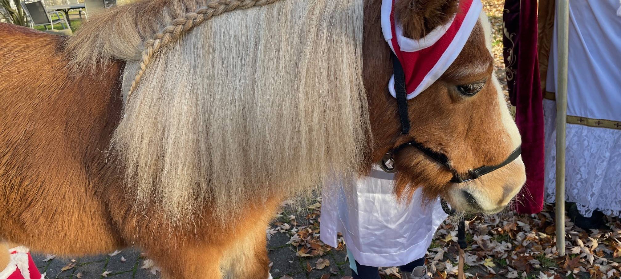 Bürger-Weihnachtsmarkt in Essen mit vielen Spielwütigen
