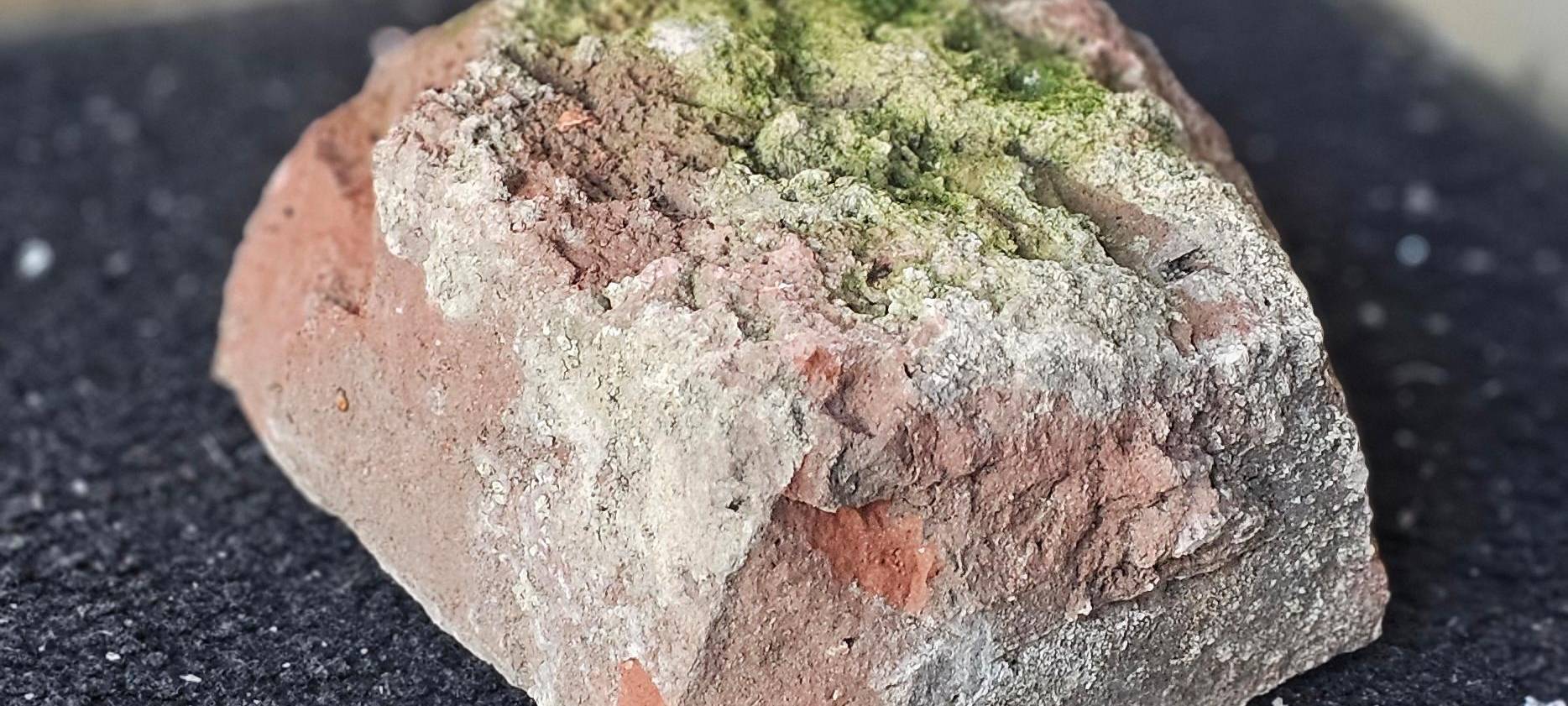 Angriff auf Parteibüro in Essen - Stein zertrümmert Scheibe