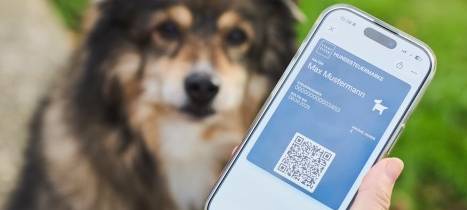 Digitale Hundesteuer