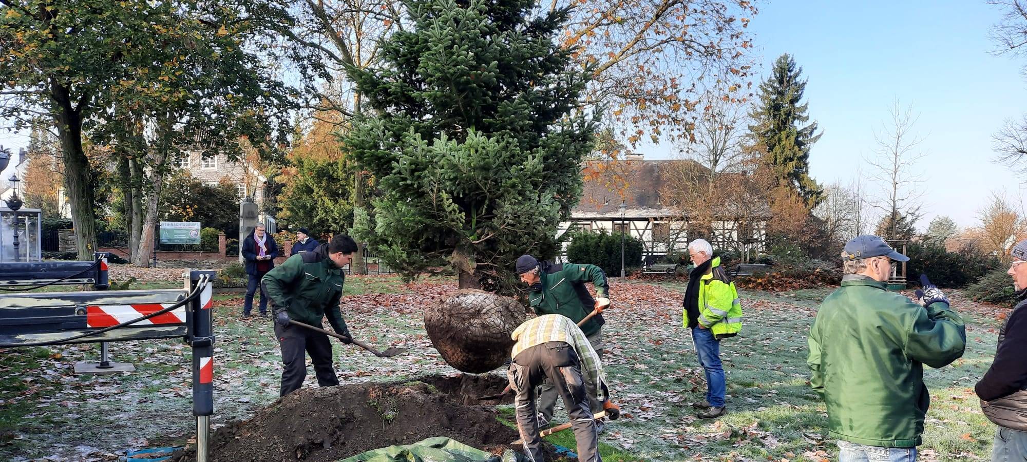 Weihnachtsbäume in Essen teilweise anders