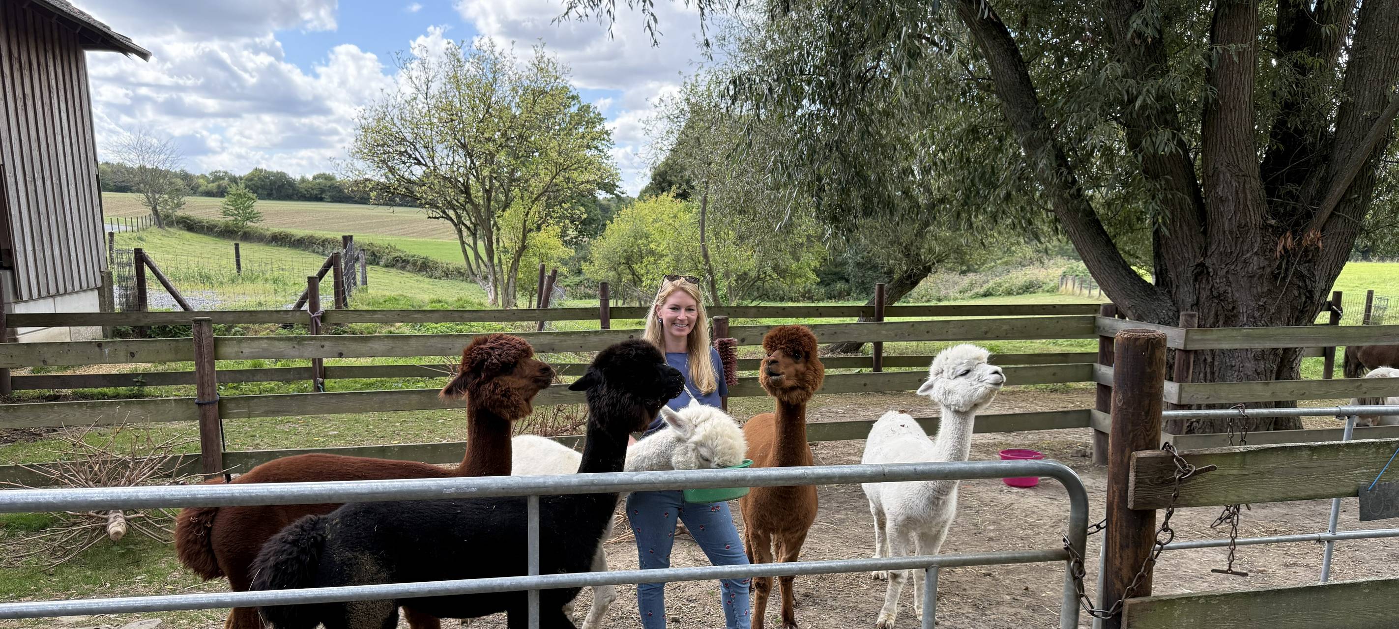 Adventskalender bei Radio Essen - alle Stationen zum Nachlesen