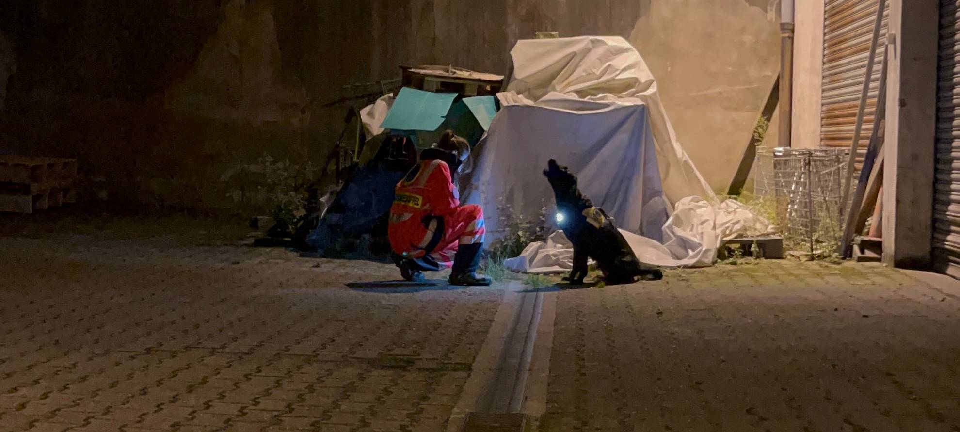 Traumjobs in Essen - Arbeiten mit einer Rettungshundestaffel
