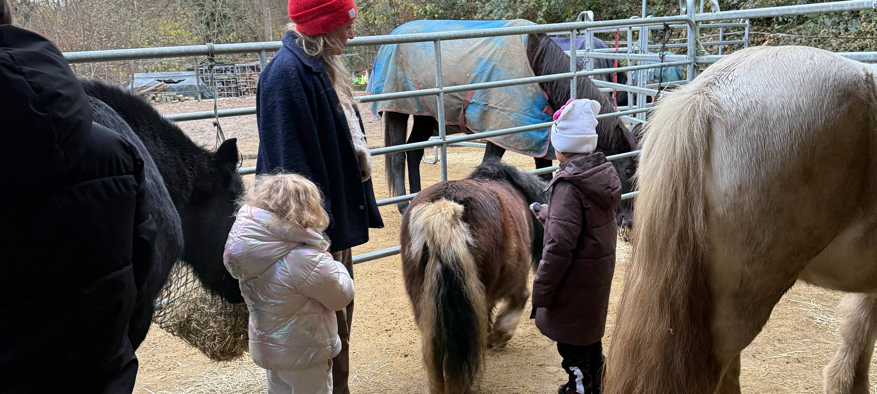Aktion Lichtblicke in Essen: Hierhin gehen die Spenden