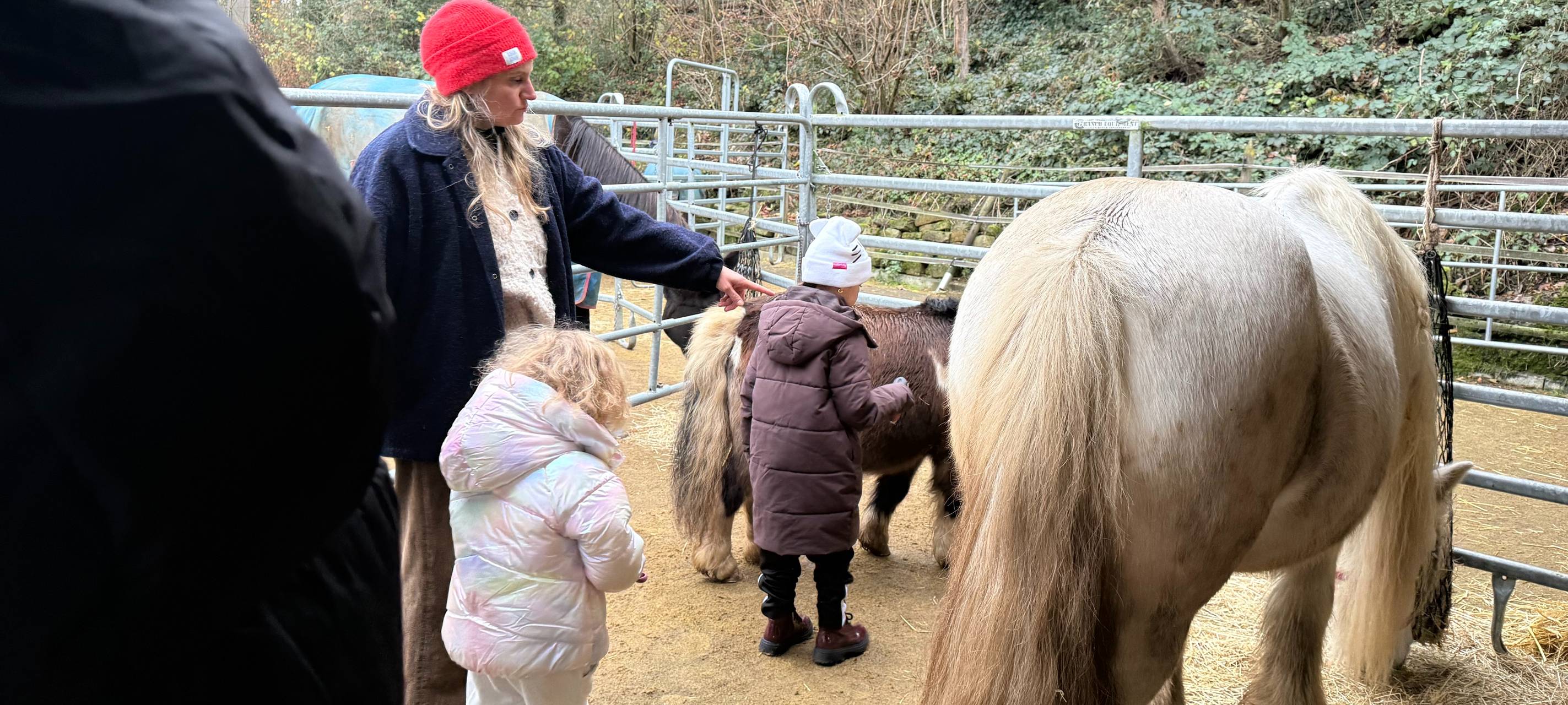 Aktion Lichtblicke in Essen: Hierhin gehen die Spenden