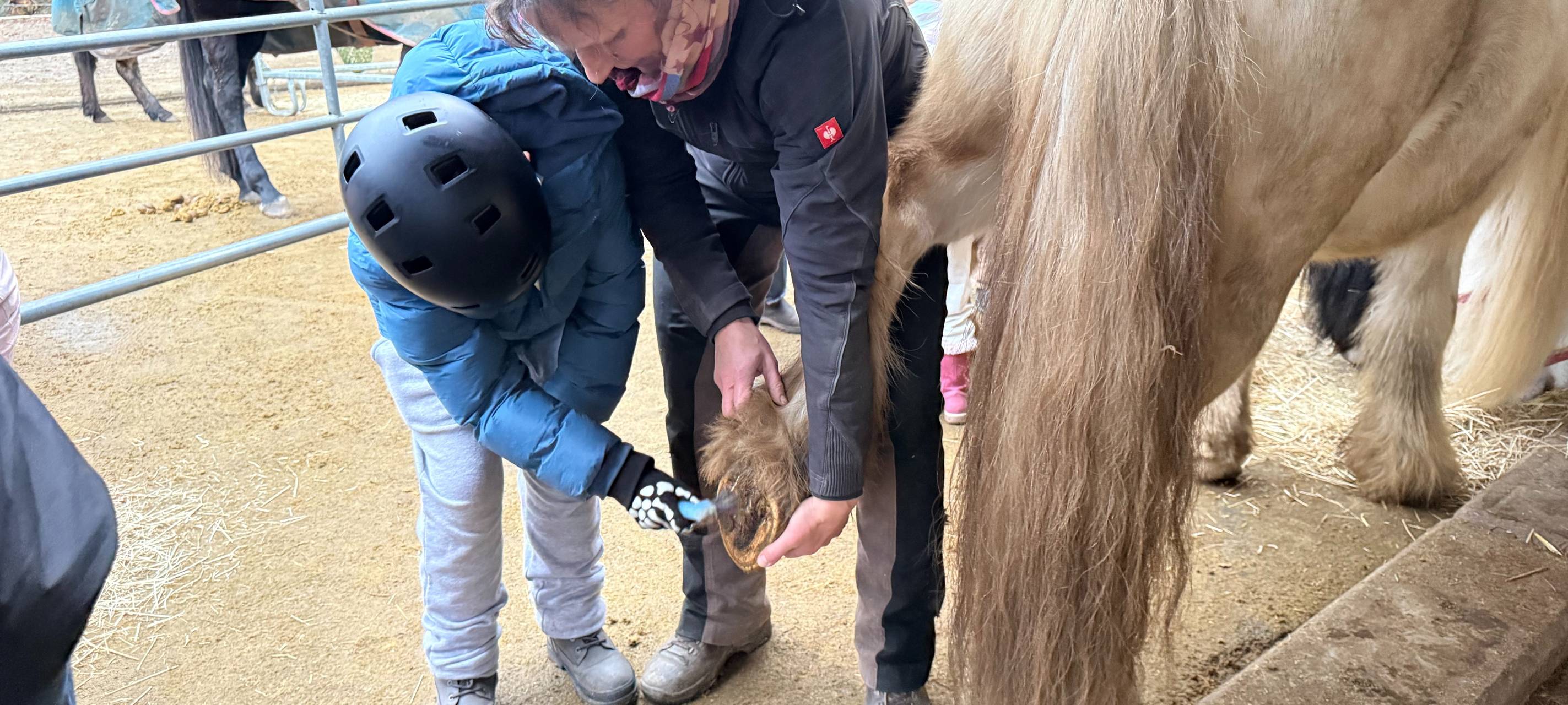 Aktion Lichtblicke in Essen: Hierhin gehen die Spenden