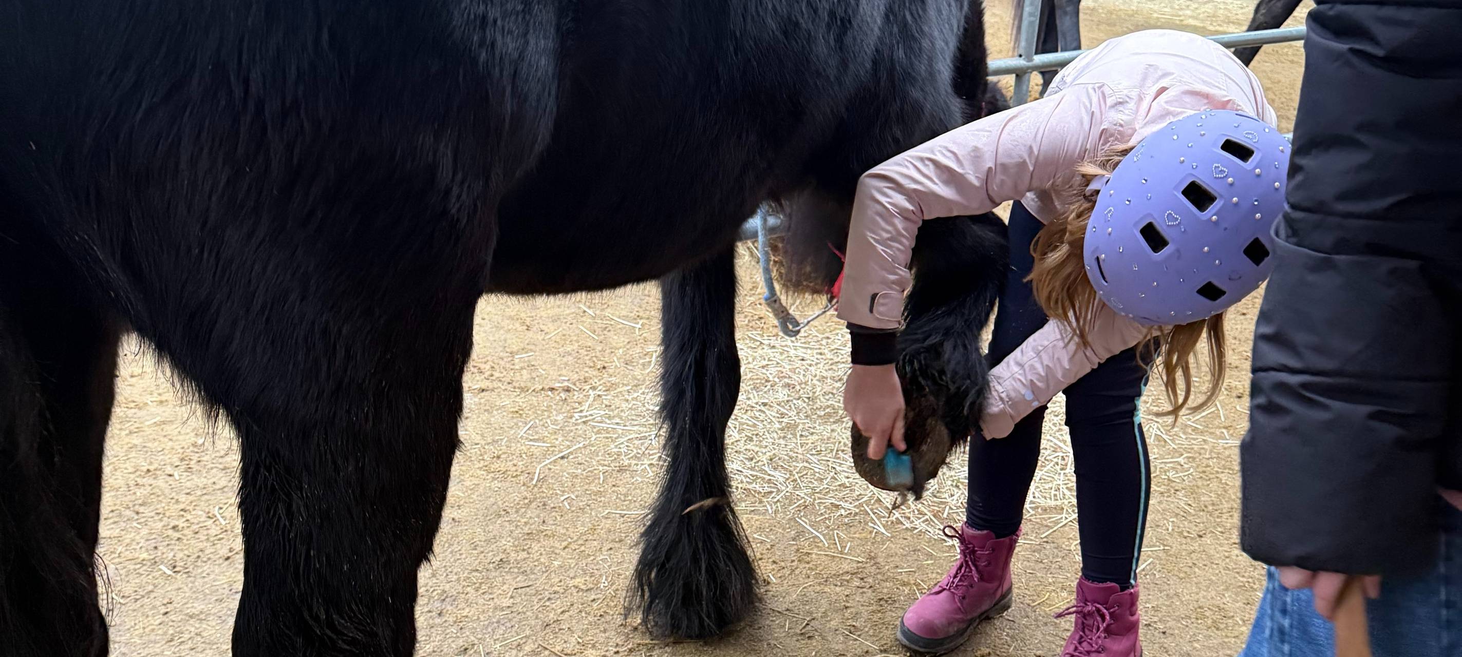 Aktion Lichtblicke in Essen: Hierhin gehen die Spenden