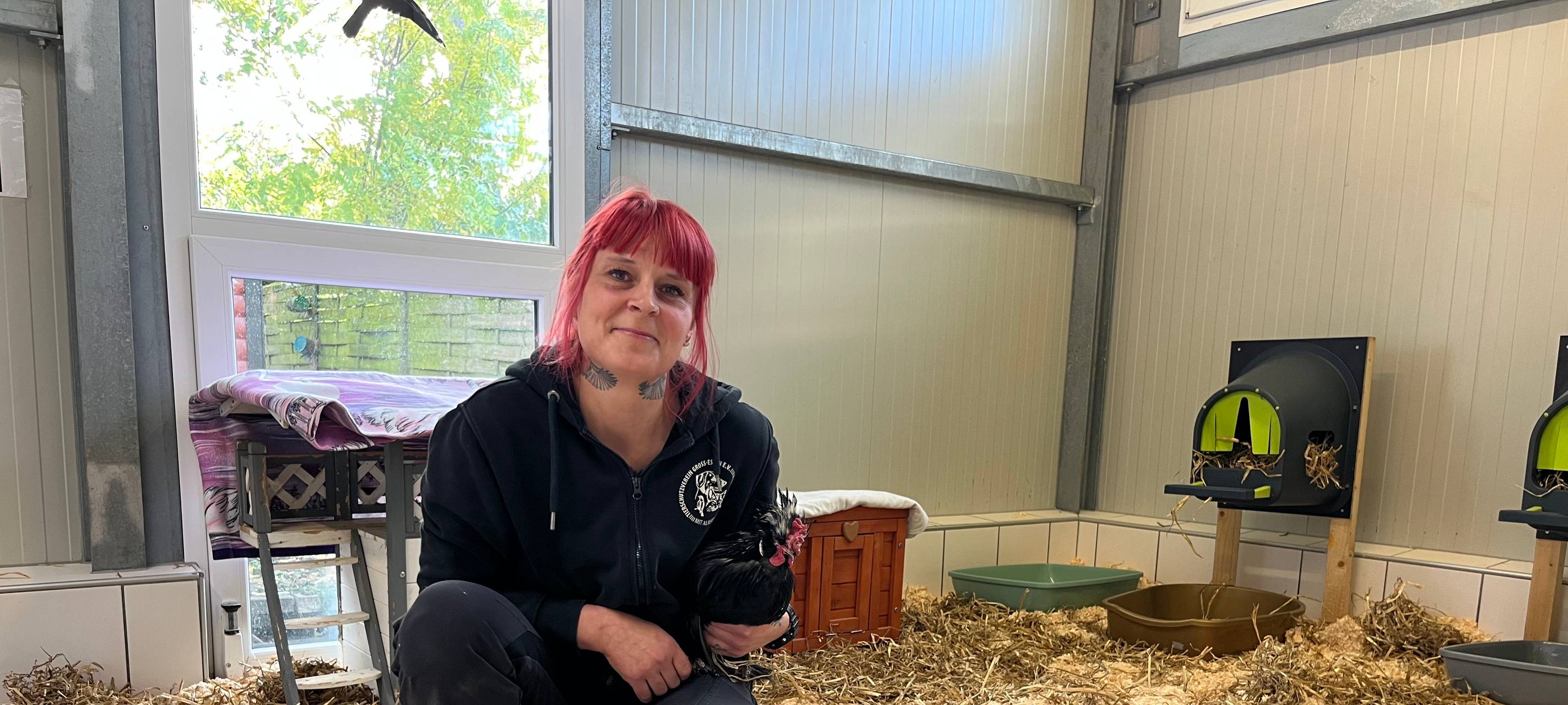 Traumberufe in Essen - vom Kindheitstraum zur Tierpflegerin in Essen