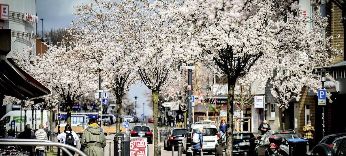 Online-Umfrage in Essen – so fühlen sich die Menschen im Norden