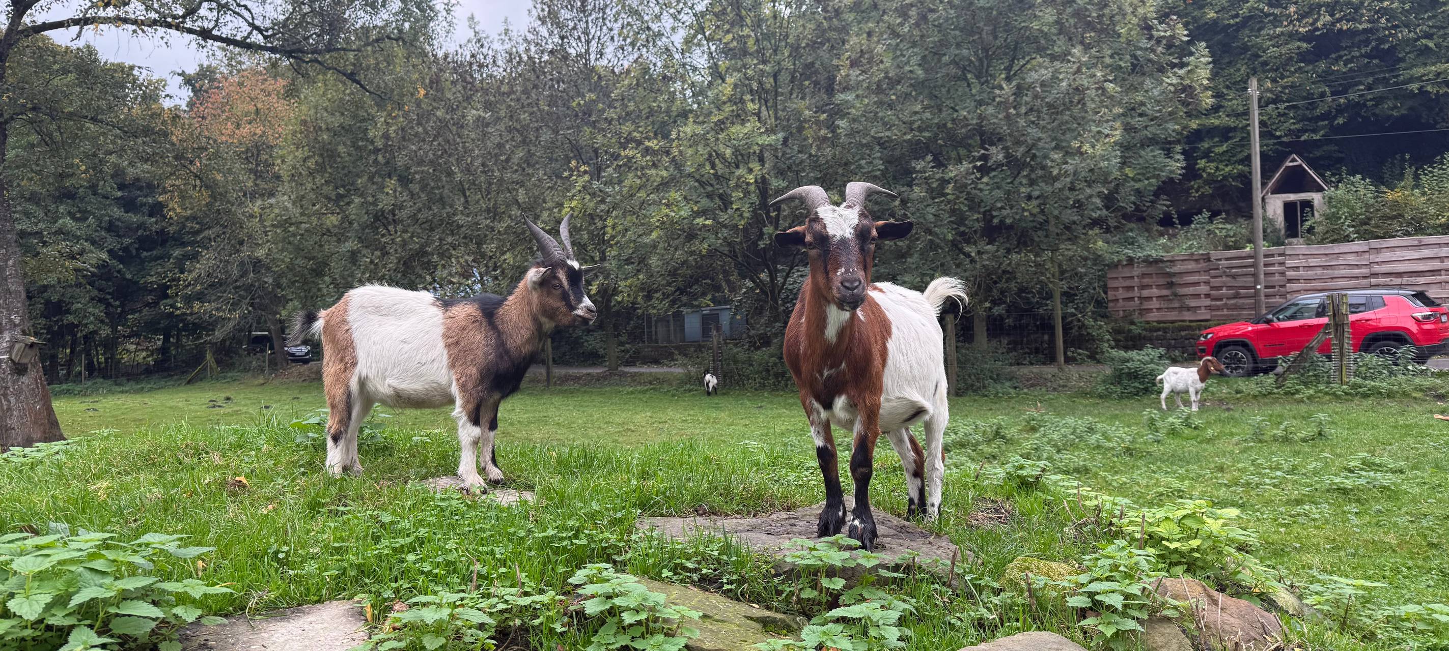 Adventskalender bei Radio Essen - alle Stationen zum Nachlesen
