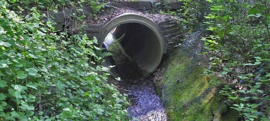 Kesselbach in Essen wird umweltfreundlicher