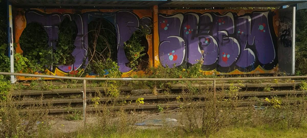 Sportverein aus Essen holt Umweltpreis