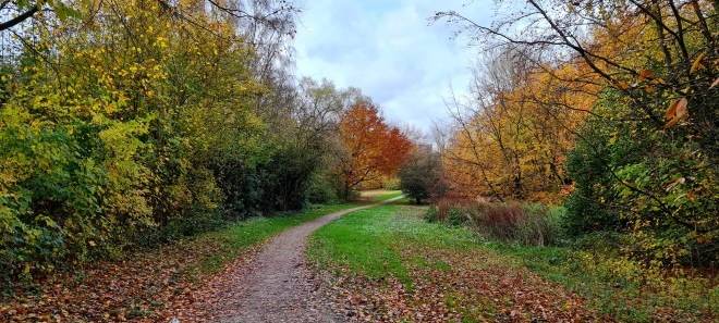 Grünanlage in Essen wird zum Erholungsort