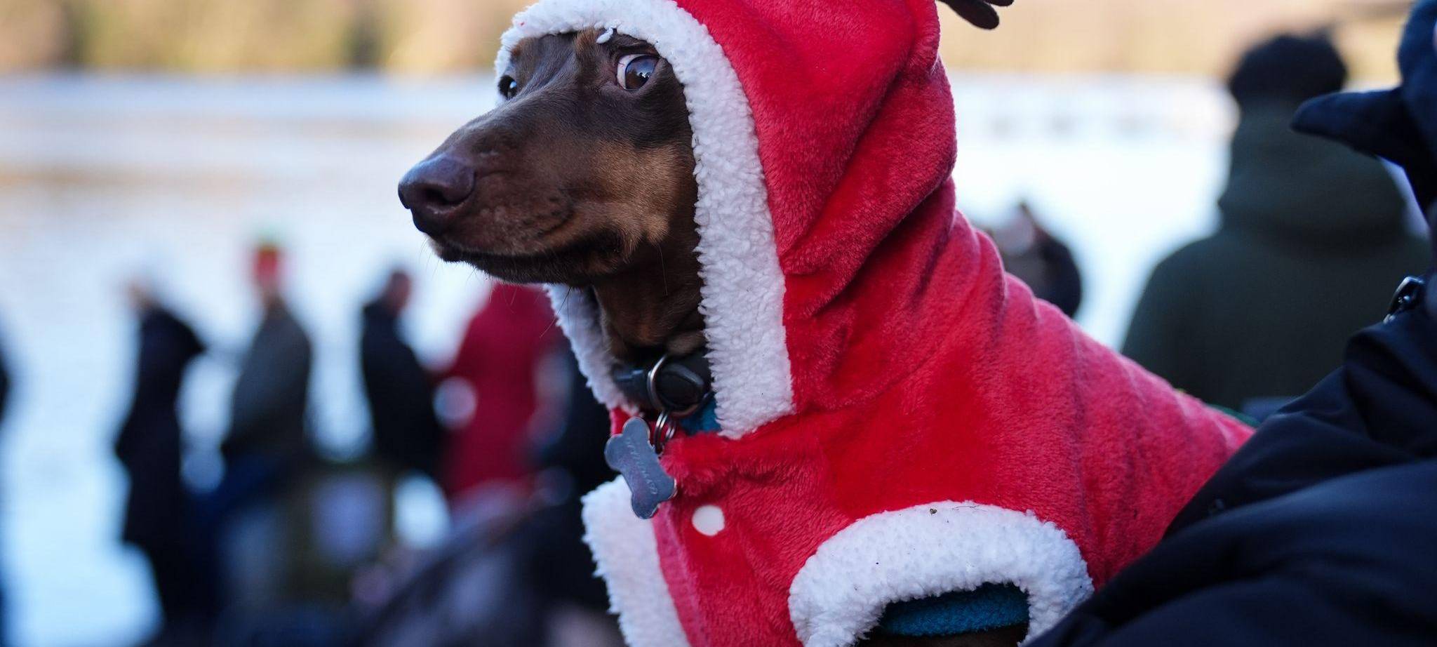 Weihnachtsbaden in Birmingham