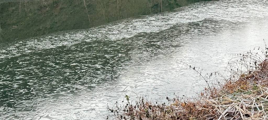 Eisflächen auf Gewässern rund um Essen: Ruhrverband warnt!