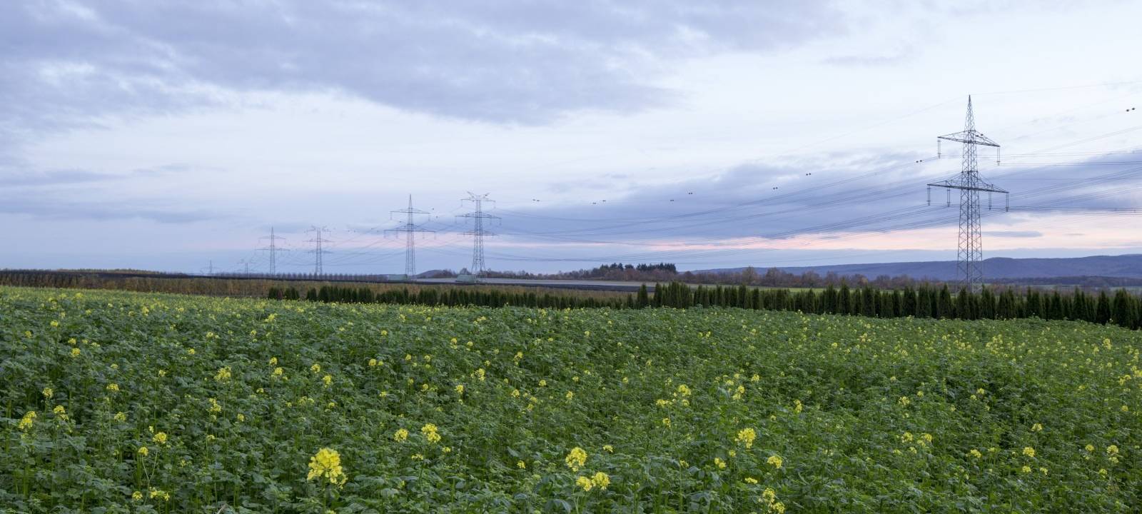 Hubschrauberflüge über Essen - Das ist der Grund!
