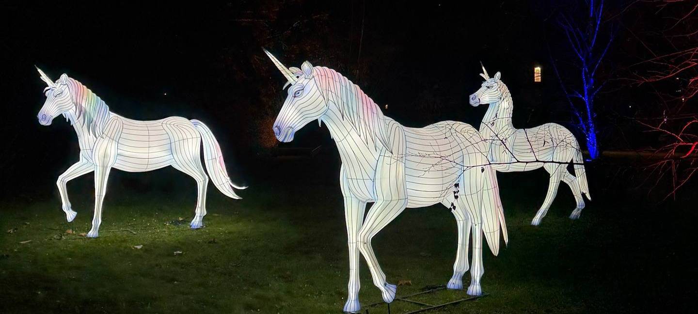 Parkleuchten Grugapark: Highlights, Öffnungszeiten, Preise