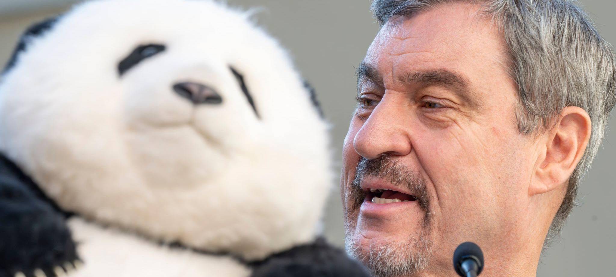 Panda-PK im Tierpark Hellabrunn