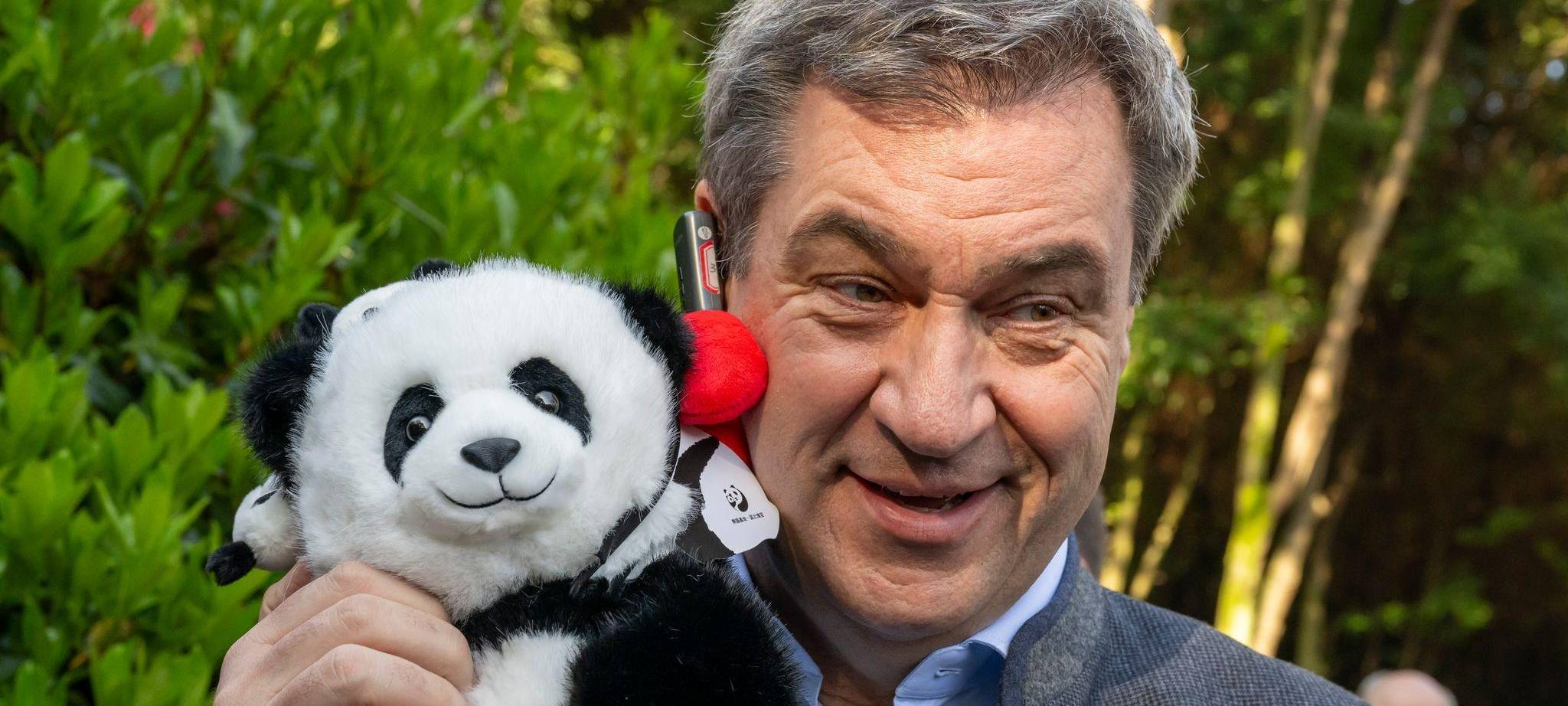Bayerns Ministerpräsident Söder mit Panda