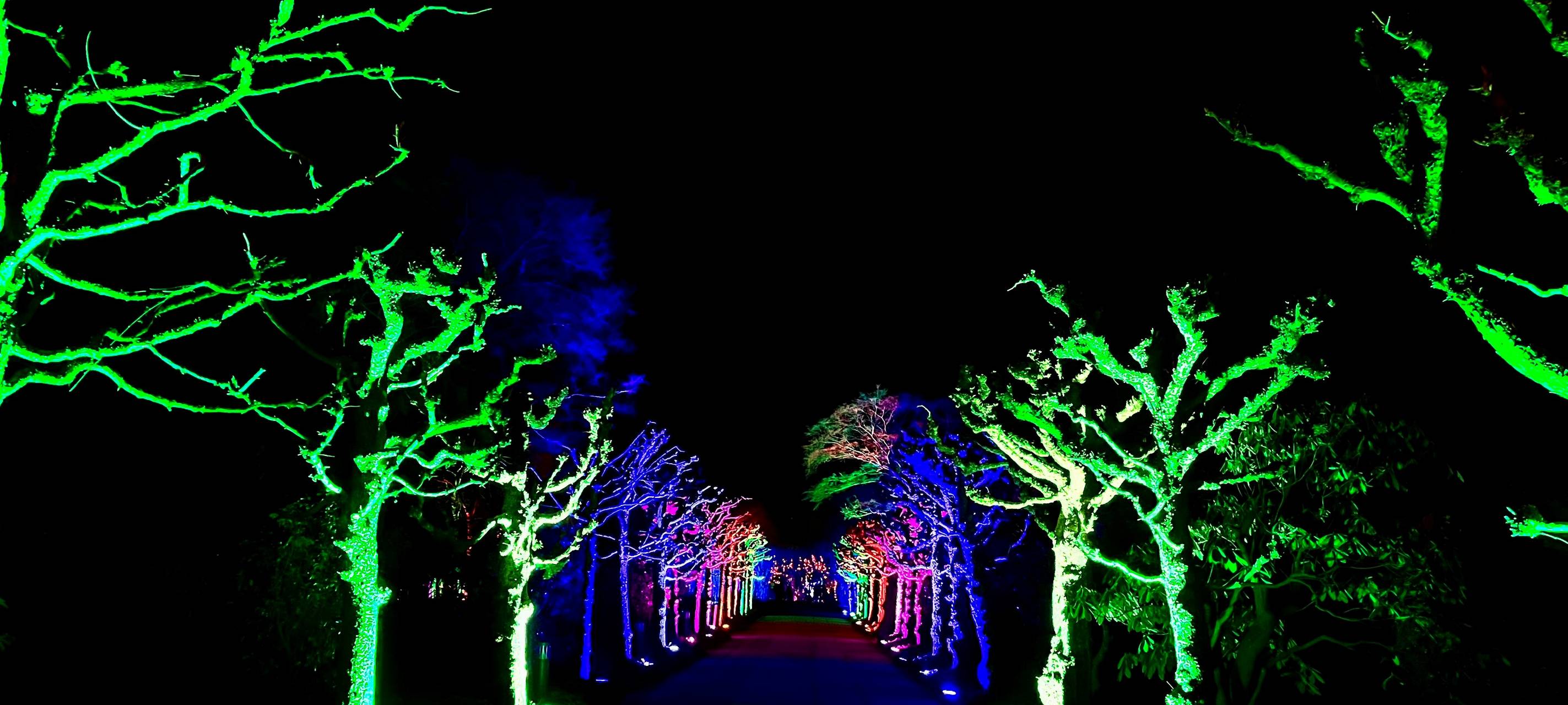 Parkleuchten im Grugapark Essen: Highlights, Öffnungszeiten und Preise