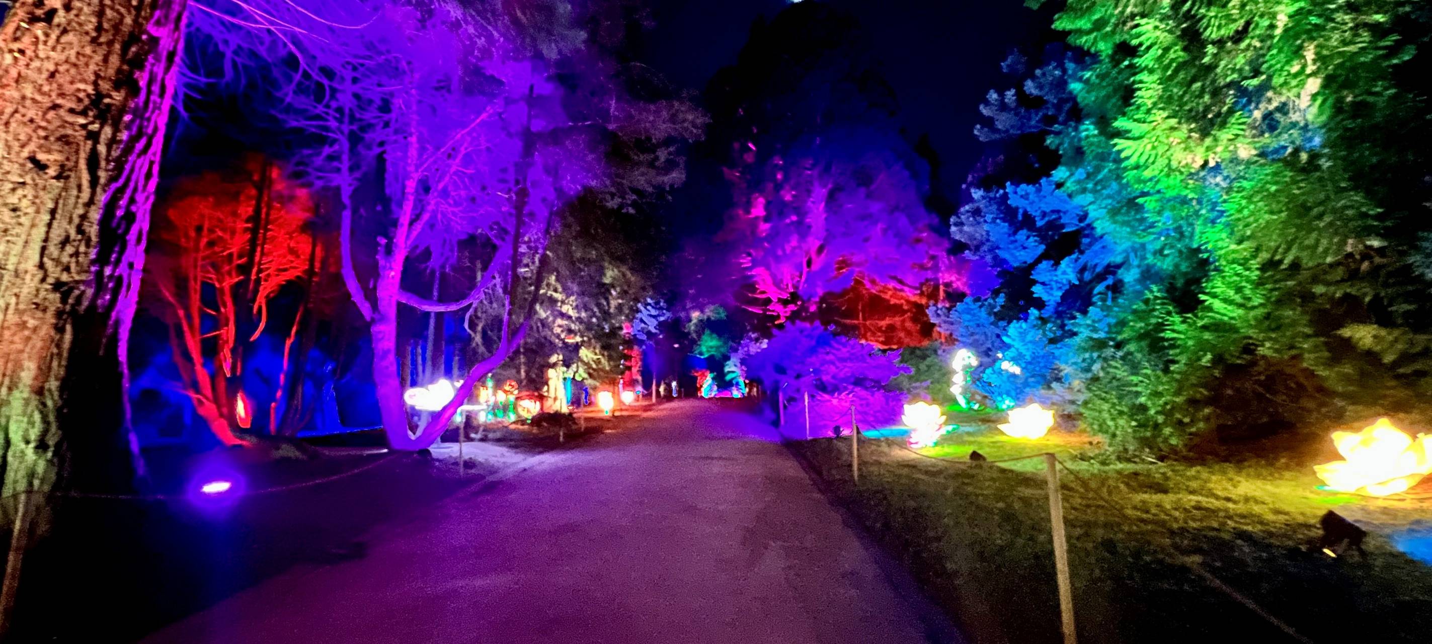 Parkleuchten im Grugapark Essen: Highlights, Öffnungszeiten und Preise