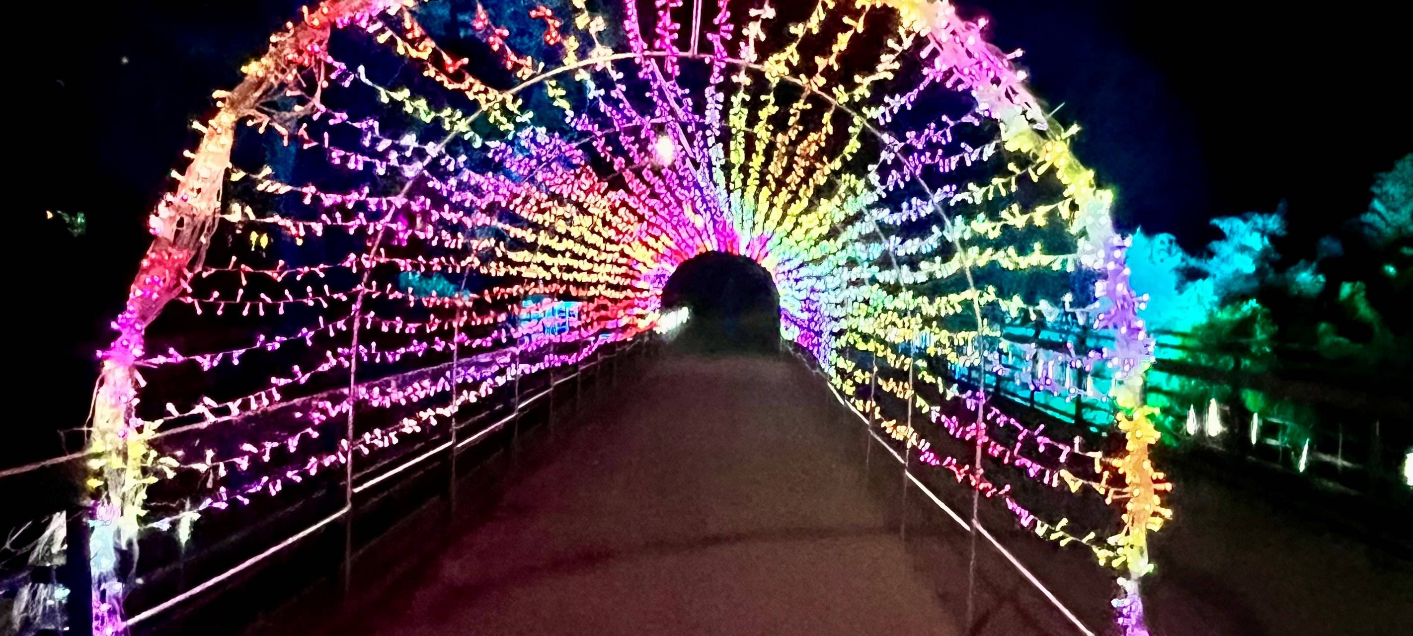 Parkleuchten im Grugapark Essen: Highlights, Öffnungszeiten und Preise