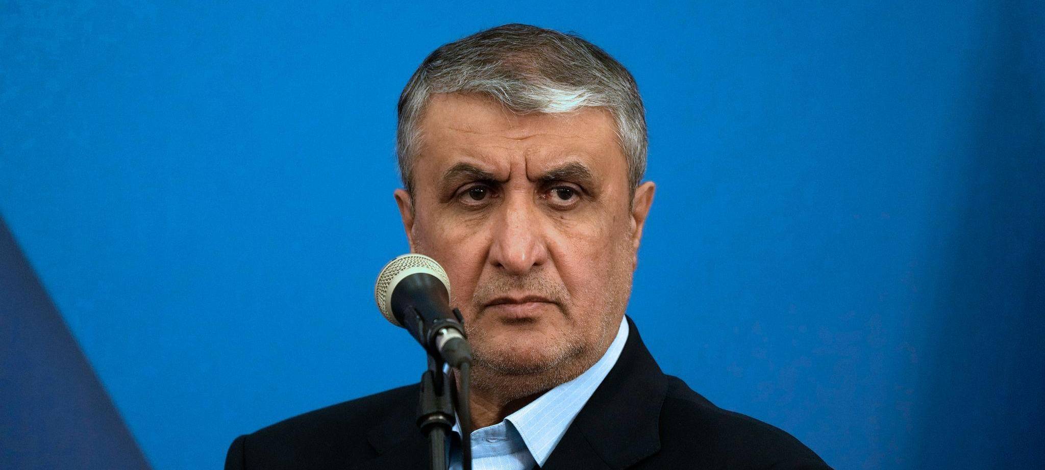 Irans Atomchef Mohammed Eslami