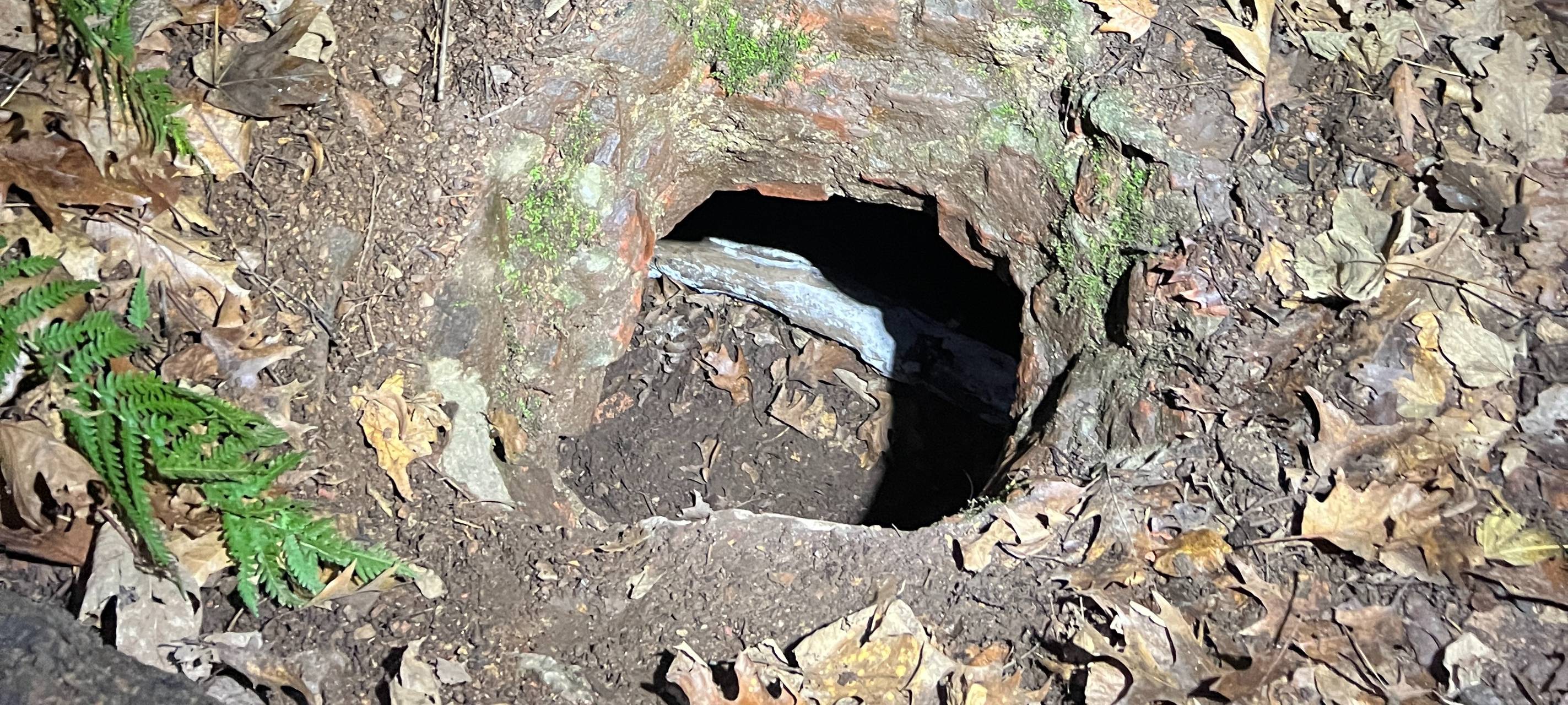 Radio_Essen_Podcast_Essen_im_Ohr_Bunker-Tour_Lost-Place