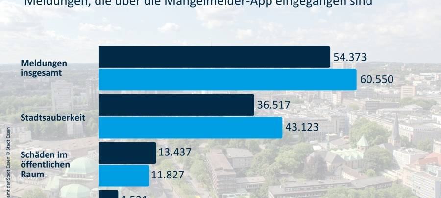 Mängelmelder-Bilanz 2025