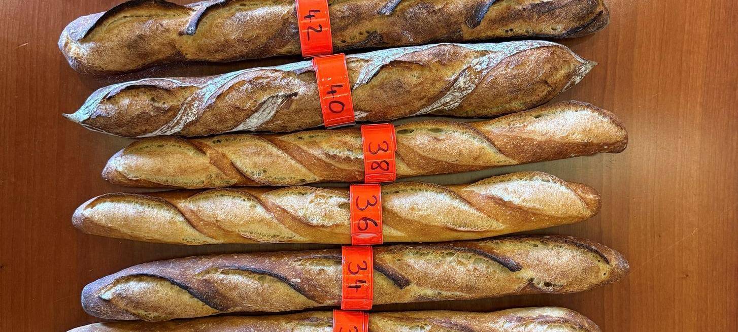 Baguette-Wettstreit in Paris - Sieger backt für den Élysée