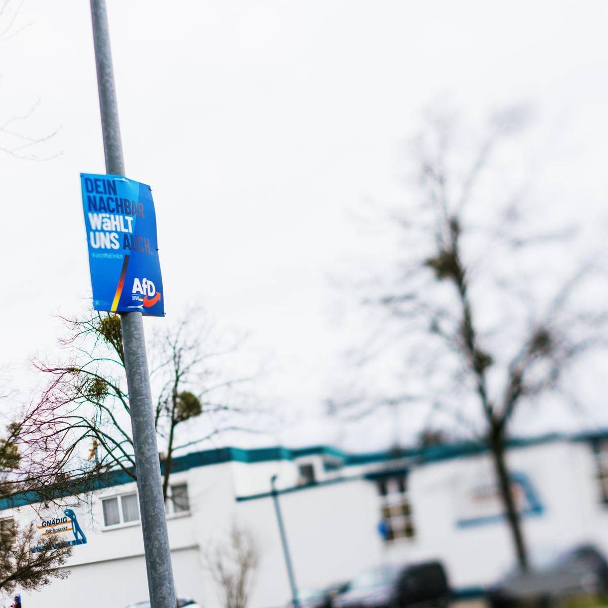 20 Prozent plus x? Darum ist die AfD im Südwesten so stark - Radio Essen