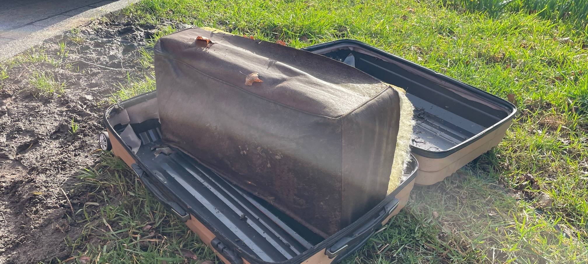 "SauberZauber" in Essen startet mit Anmelderekord