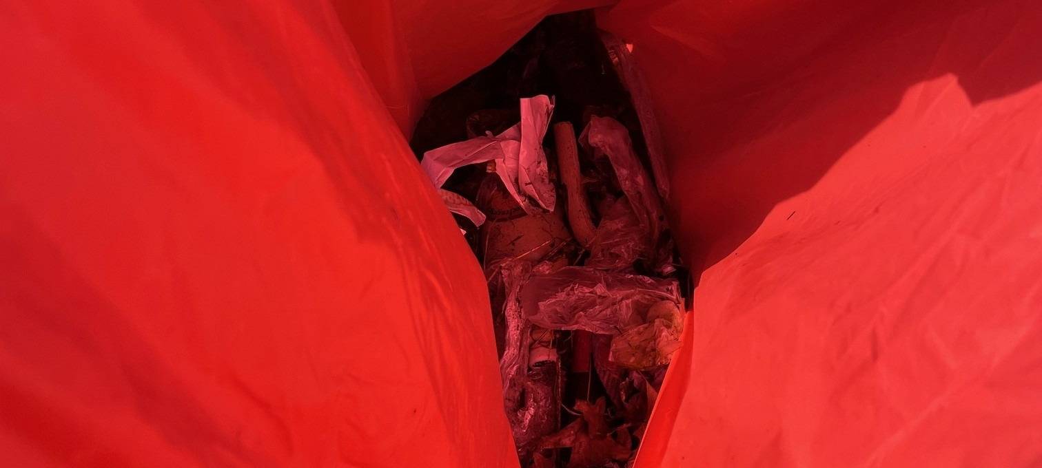 "SauberZauber" in Essen startet mit Anmelderekord