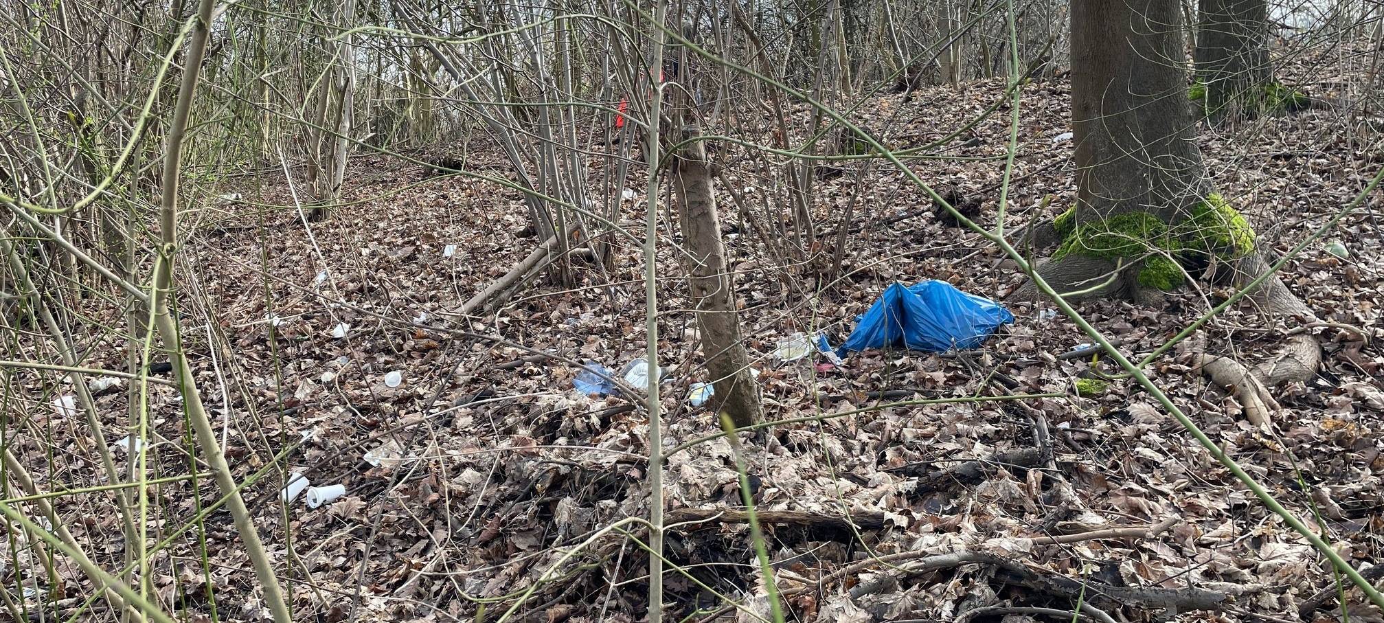"SauberZauber" in Essen startet mit Anmelderekord